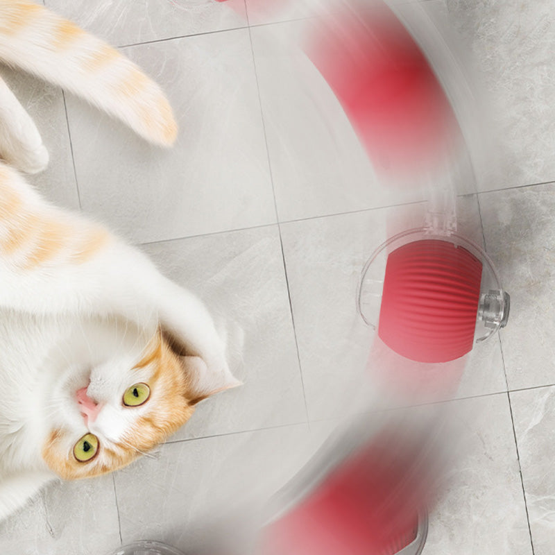 🐱🐶Smart Automatic Rolling Pet Ball