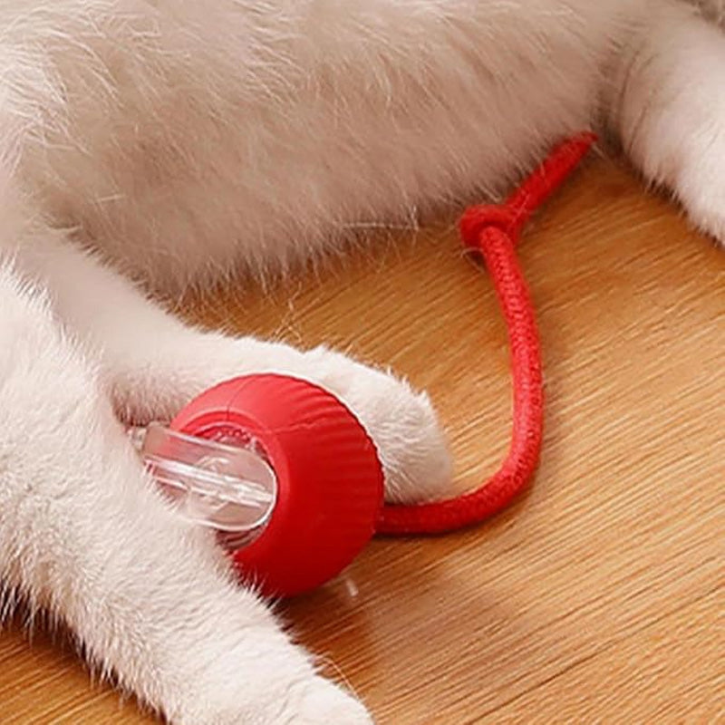 🐱🐶Smart Automatic Rolling Pet Ball