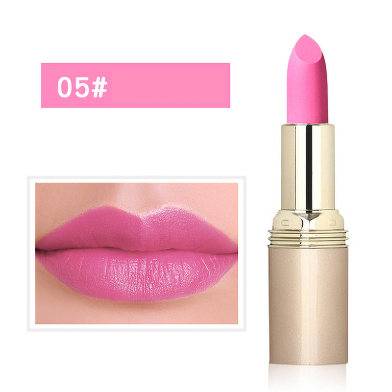 Non-Staining Moisturizing Matte Lipstick