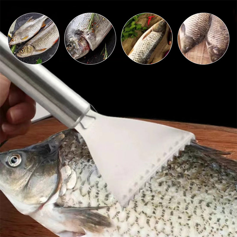 Stainless Steel Fish Scale Removal Tool